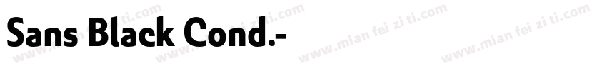 Sans Black Cond.字体转换
